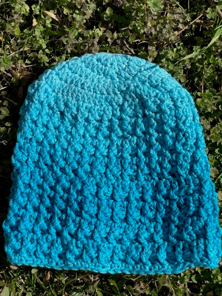 Teal Blue Adult Beanie