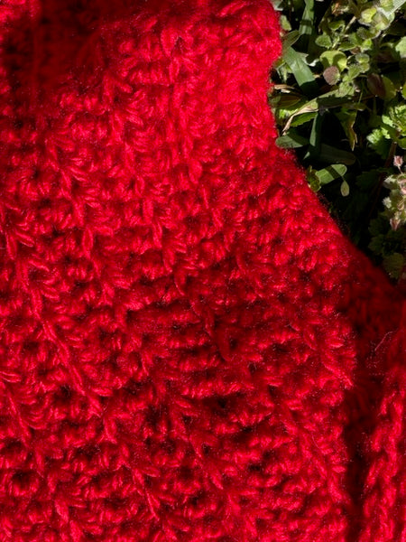 Scarlet Red Scarf